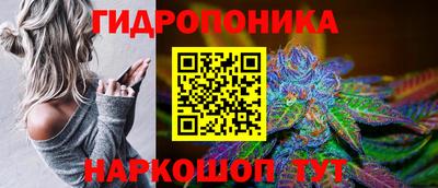 скорость Заводоуковск