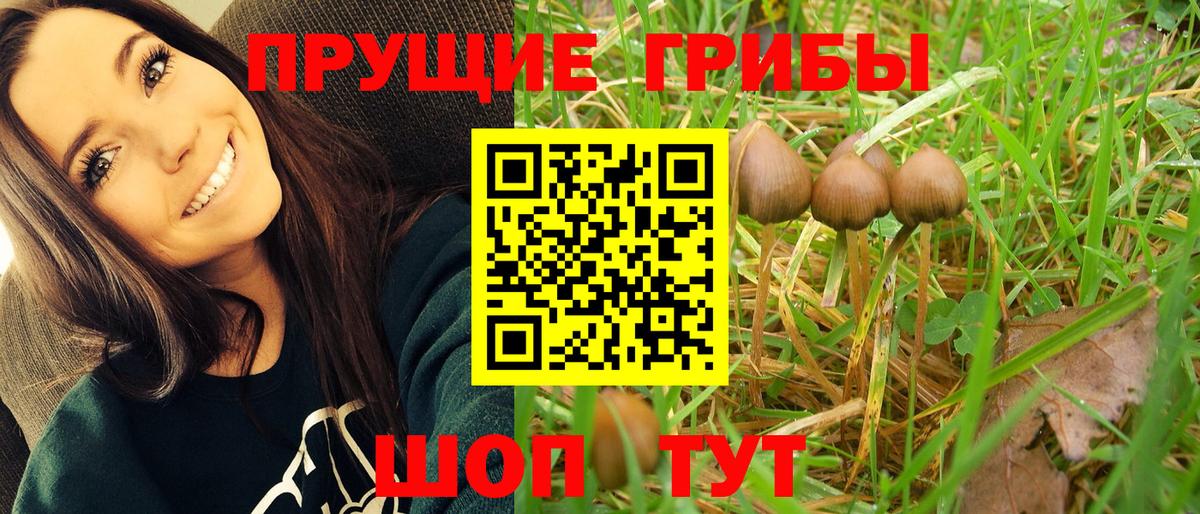 Галлюциногенные грибы прущие грибы Луховицы