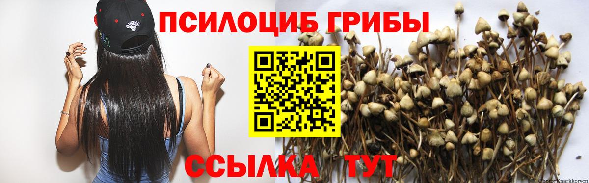 Луховицы  Галлюциногенные грибы Magic Shrooms  Галлюциногенные грибы Magic Shrooms  Вход с VPN 